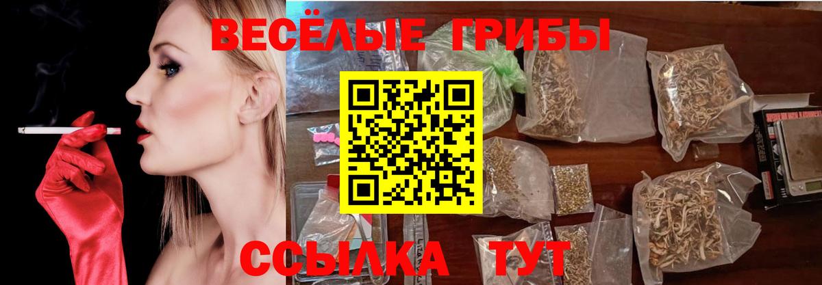 Королёв  Галлюциногенные грибы Magic Shrooms  наркота  Вход с VPN  Псилоцибиновые грибы ЛСД 